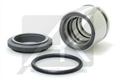 BT2V01/028/BQ1EGG Торцевое уплотнение