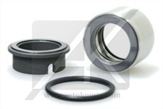 BT3V/025/BQ2EGG Торцевое уплотнение