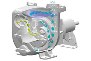 Conditions for using a centrifugal pump
