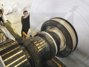Use of mechanical seals in pulp and paper industry